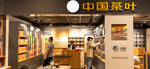 中茶